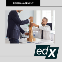 Risk Management for Projects