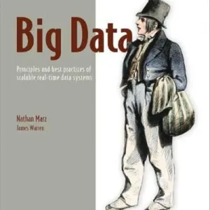 Big Data Principles and Best Practices